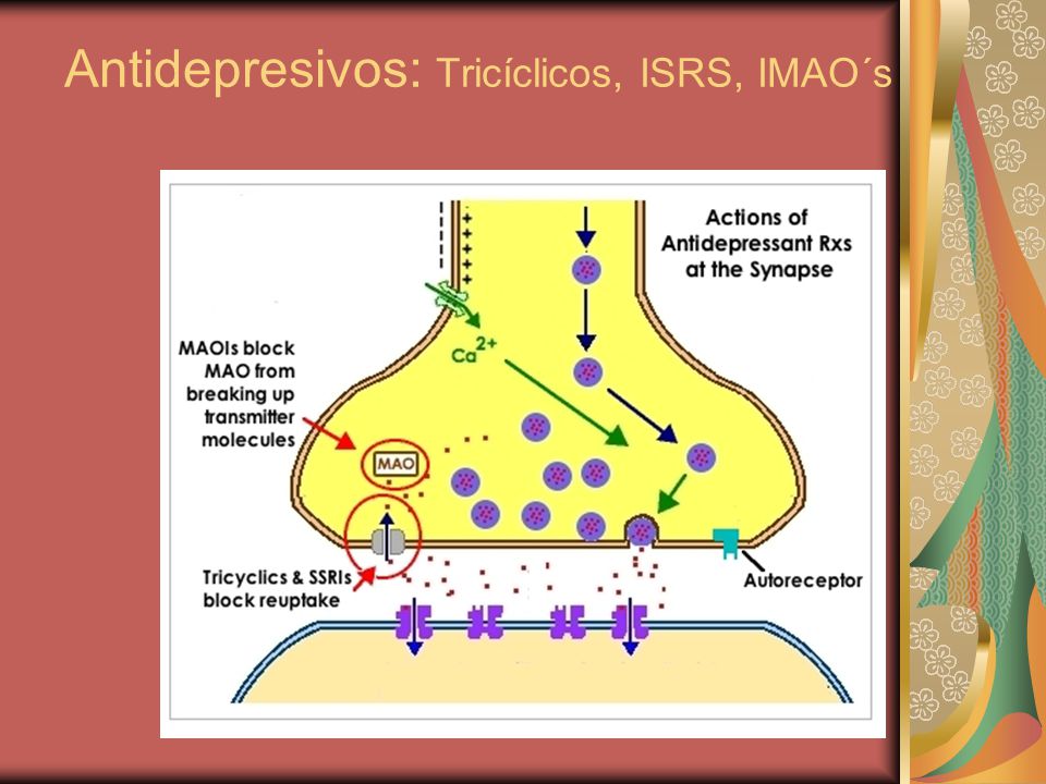 antidepresivos triciclicos mecanismo de accion